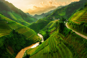 Vẻ đẹp vùng cao
