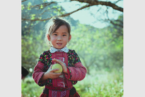Vẻ đẹp vùng cao