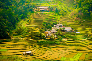 Vẻ đẹp vùng cao