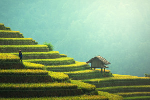 Vẻ đẹp vùng cao