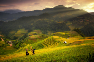 Vẻ đẹp vùng cao