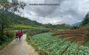Sapa Trekking Guide: Ma Tra to Ta Phin Route