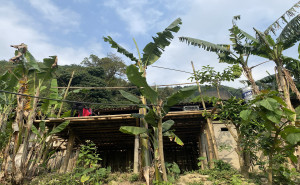 Khuoi Khon Village: Discover Lo Lo Culture in Cao Bang
