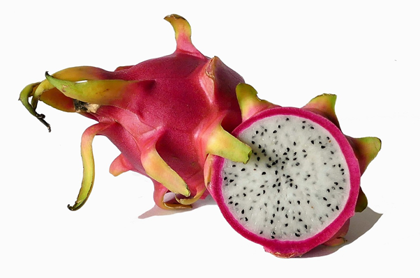 Dragon fruit