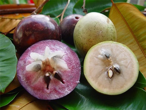 The juicy star apple (or melastella) | Source: eva.vn