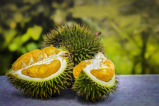 Durian - King of the fruit 