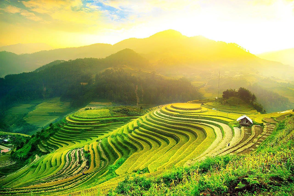 Ha Giang’s stunning terraced rice fields