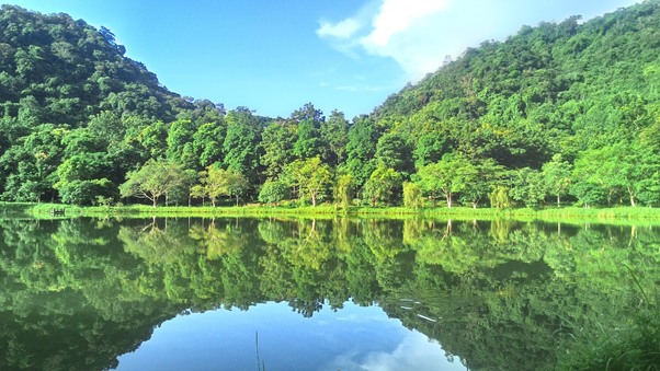 Cuc Phuong National Park