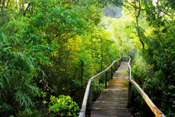 Nam Cat Tien National Park