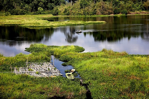 Nam Cat Tien National Park