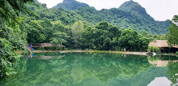 Cat Ba National Forest