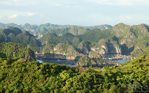 Cat Ba National Park