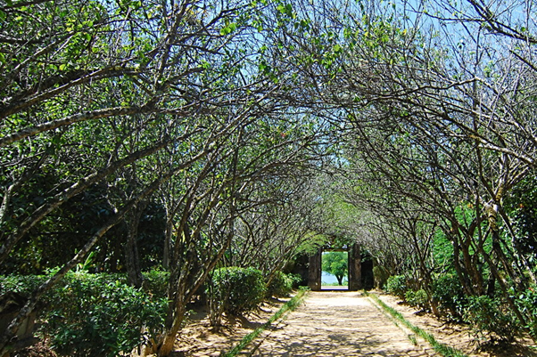 If you need to find a peaceful place to rest in the harsh summer noon, An Hien garden house is that place