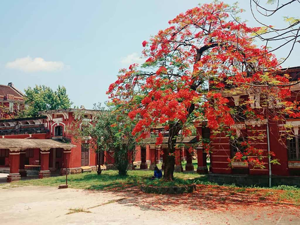 The beauty of Hue National School is rated among the most beautiful attractions in Hue