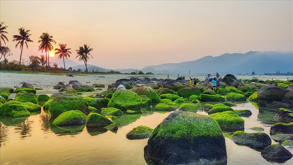 Wild nature in Nam O Reef 