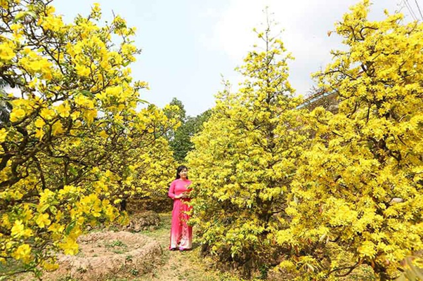 Plum Village Phuoc Dinh, Vinh Long