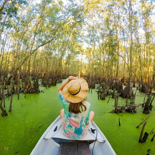 Tra Su cajuput forest, An Giang