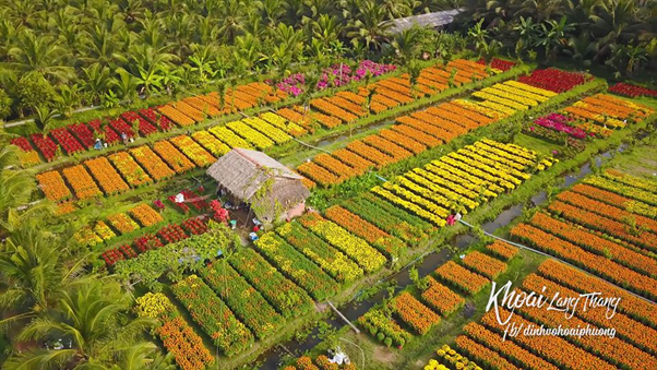 Flower Village in Lach Market