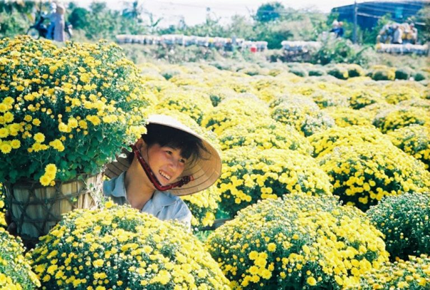 The happiness of the people all year round attach to the flower pots