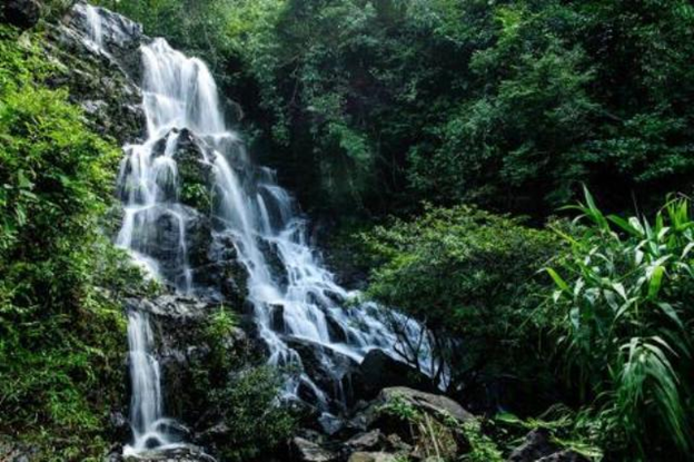 Waterfall Gio - Botanical Garden