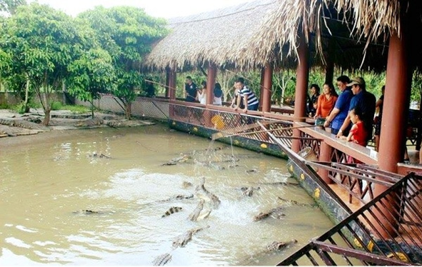 Experience crocodile fishing at My Khanh tourist area
