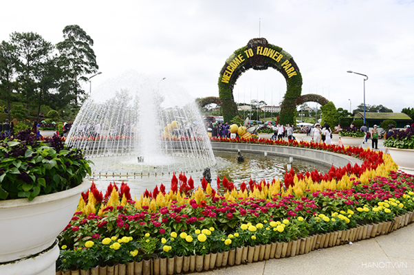 The flowers of all colors are extremely impressive in the flower garden of the city