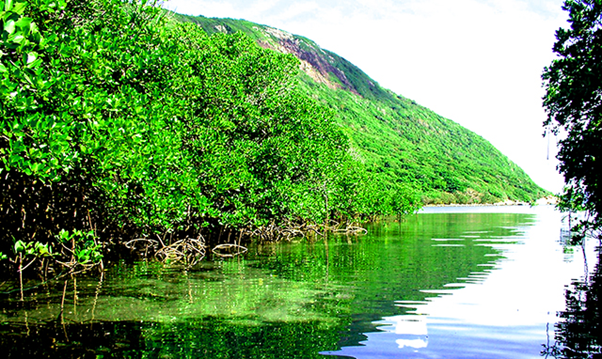 Con Dao National Park