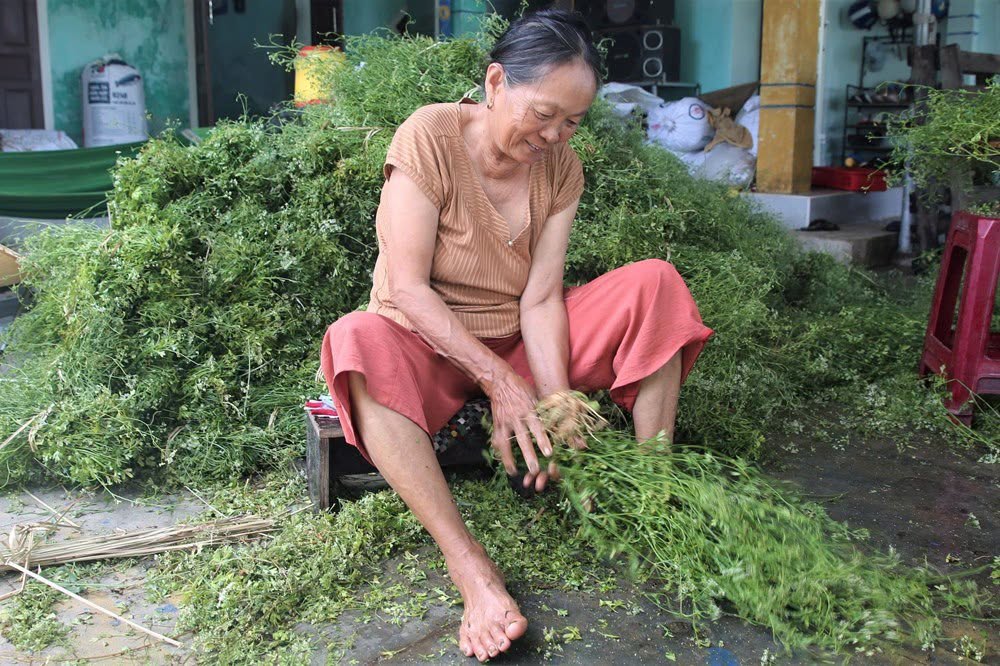 Tet Doan Ngo Danang